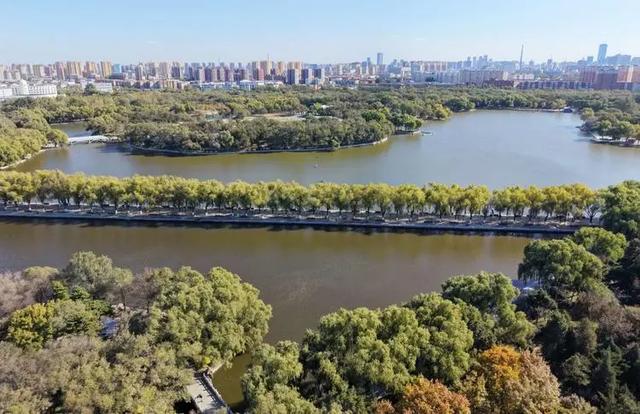 沈阳这些地方太美了!赏秋倒计时,错过等一年!