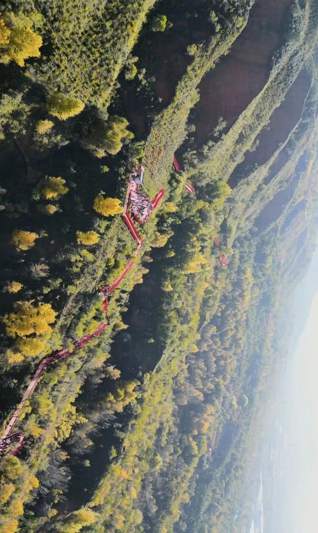 凤凰山秋记|层林尽染处，秋意满临夏