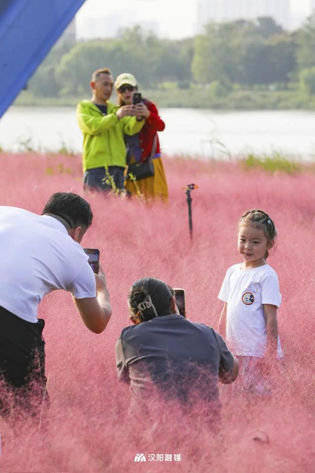 汉阳，变色……了
