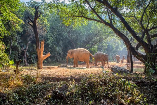 广州4天3晚深度旅游攻略