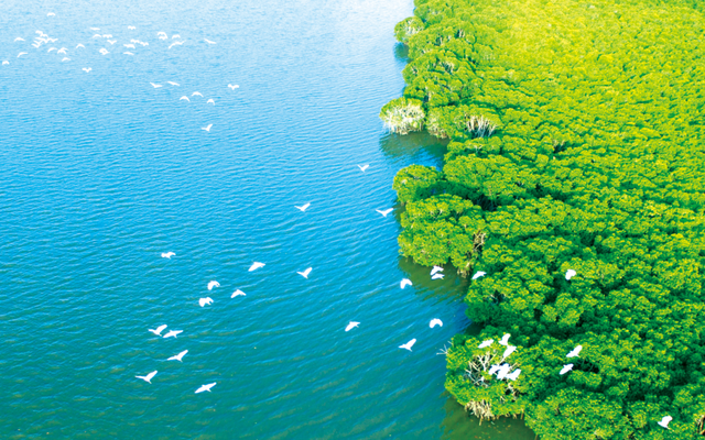 海口给长辈的舒适旅行指南