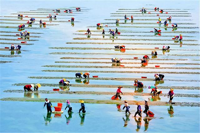 这是油画还是实景？太美太美啦！！