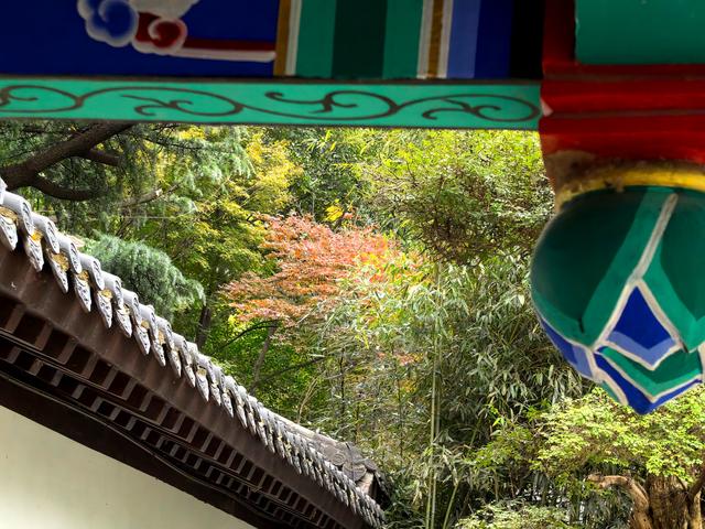 半烟火半诗意：潍坊园林的美，从不被定义