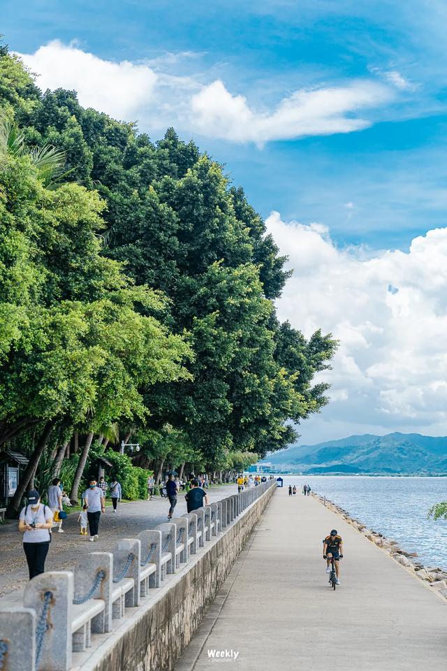 深圳的未来,为什么看前海?