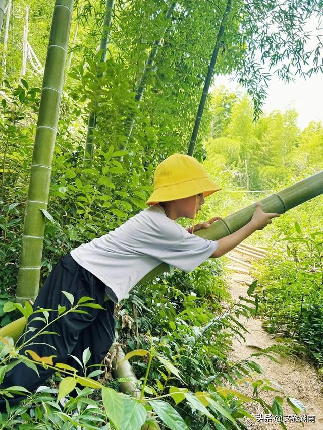 全部免费！解锁长沙10条山林徒步路线