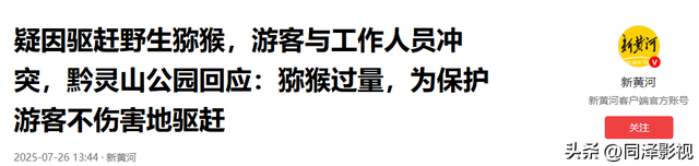 为护猴怒骂环卫工，南京男子遭网暴后道歉！景区：猴子太多会咬人