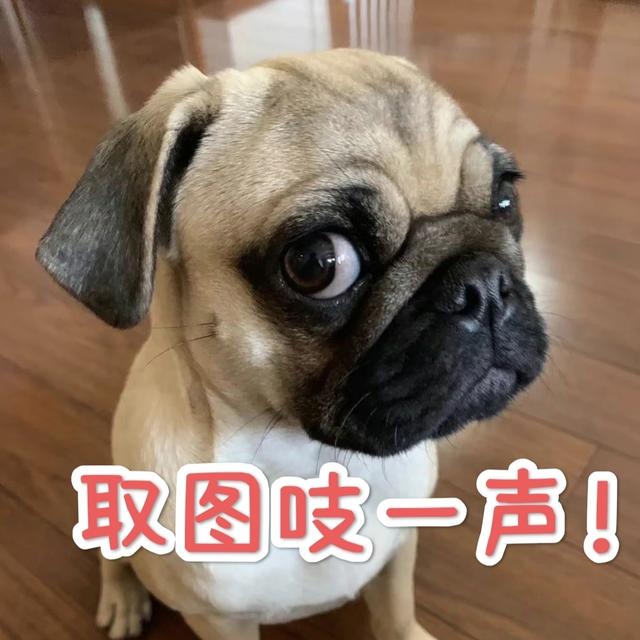 手机壁纸分享｜格局之上，所见皆风景；纠结之处，所遇皆是非。