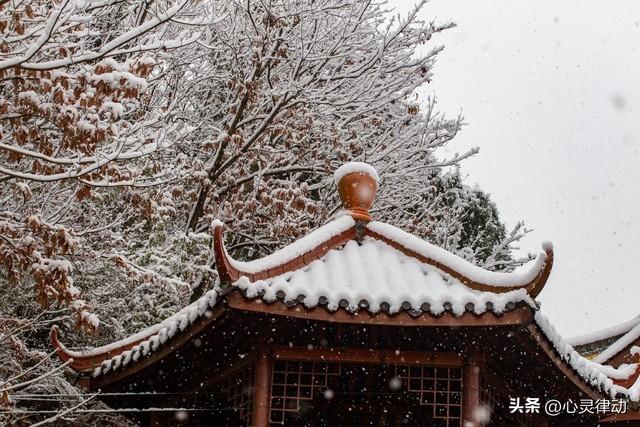 “上午立冬大雪封门，下午立冬单衣过冬”，今年立冬在哪儿？