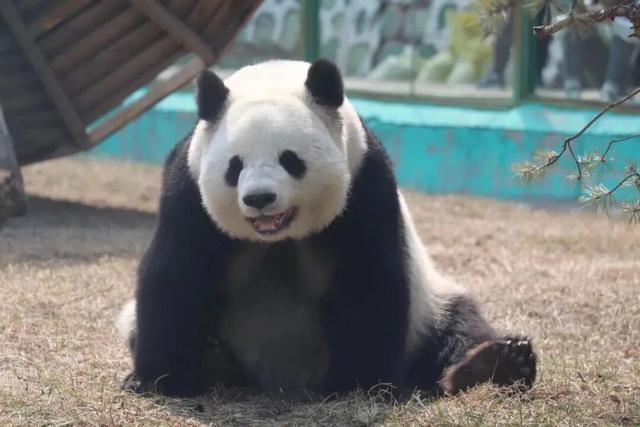 超有氛围感！哈尔滨冬日打卡攻略