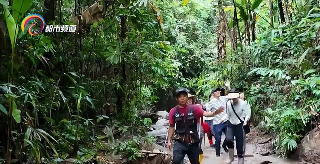 携程发布暑期旅游报告 云南酒店订单量同比增长29%