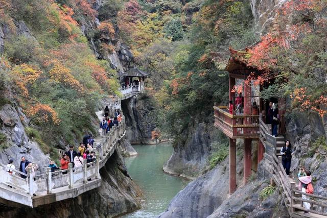 这才是秋天该有的样子~