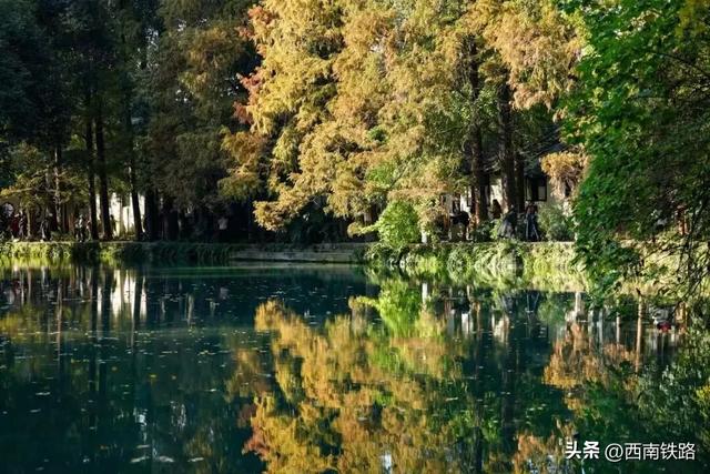 动车最快16分钟,票价仅需12元