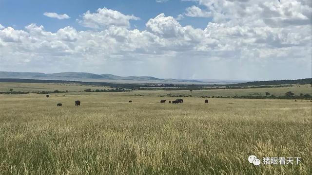 老爸眼里的神秘非洲