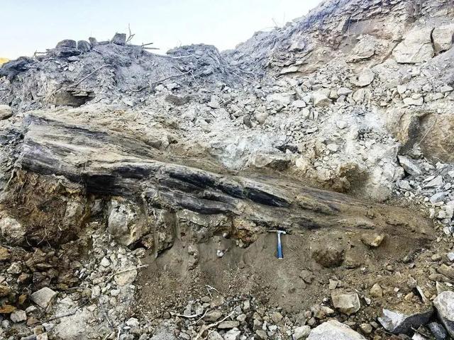 “国家一级”!山西阳泉太旧高速路改线工程现场发现