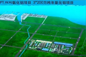 化企出海！东方希望集团600万吨氧化铝240万吨电解铝项目落地印尼图片