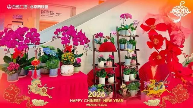 锁定丰台！元宵节最全嗨玩指南来了