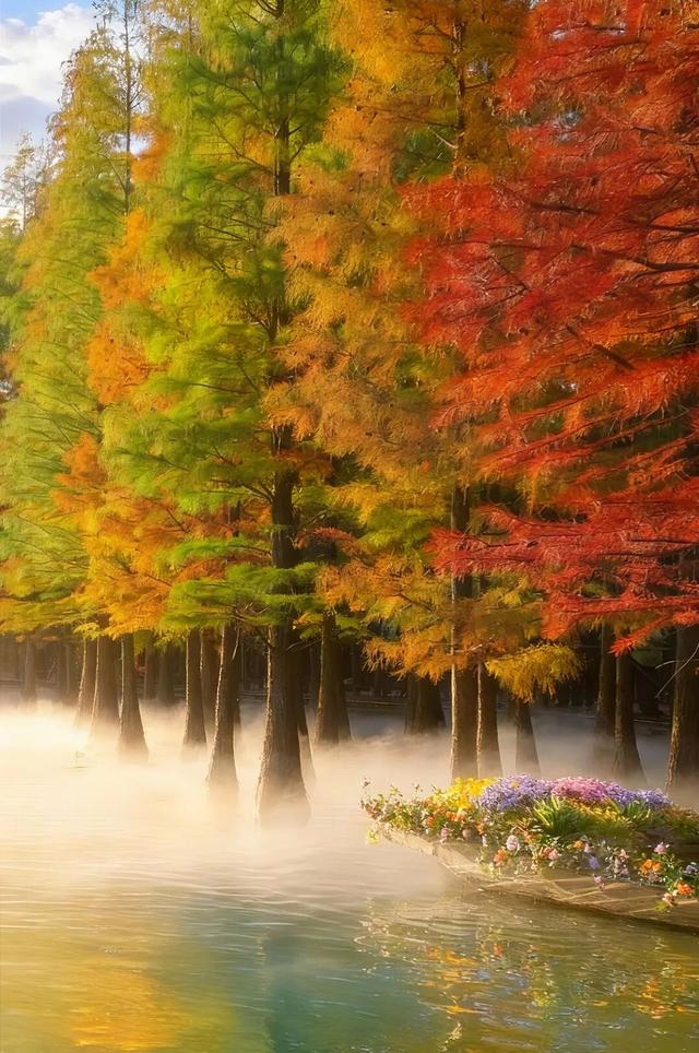 此刻，随手拍洛阳，美景如画！