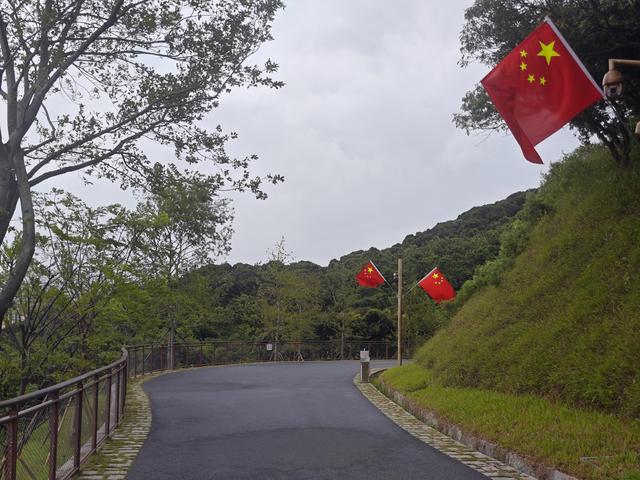 西丽湖国际科教城绿道高清随拍