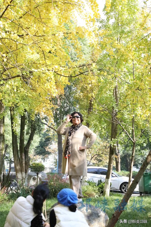 临邛古城银杏季,从浅黄到满树的鎏金,阳光温柔绵长