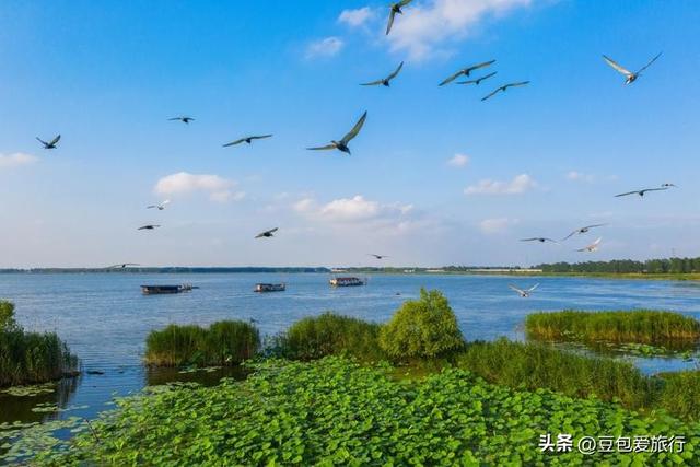 漫步南北之间，感受淮上风情——蚌埠漫游攻略
