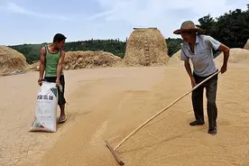 34年前全国实行的夏令时，为何被取消？专家表示：胡闹，全乱套了图片