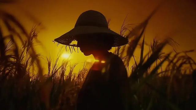 新导演想讲新故事,不再只能等机会