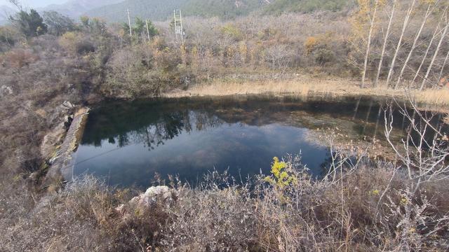 河北唐山丨市历史学会为啥组团赴遵化东旧寨镇双泉寺村考察