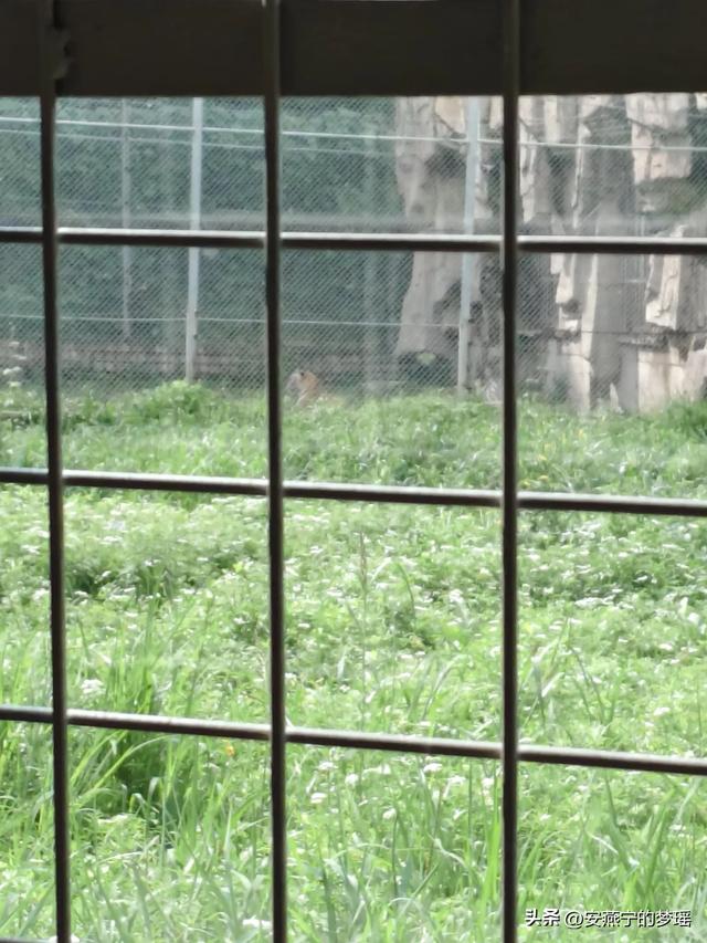 走进长春