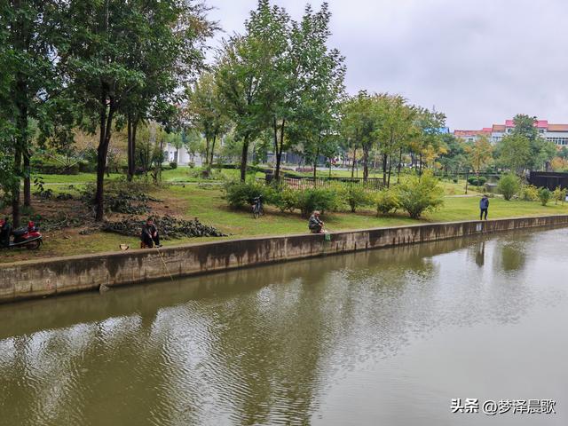 云梦生态浮岛的三重奏