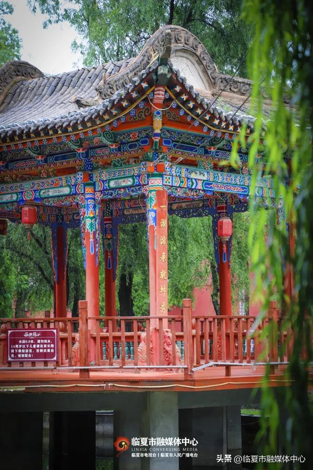 秋雨落,诗意起…邂逅临夏秋雨的美