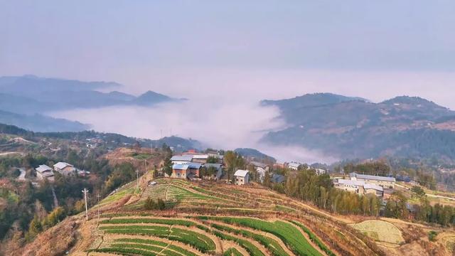开州南门月耳山:童年仰望的雪顶,现藏着一片即将惊艳春天的秘境