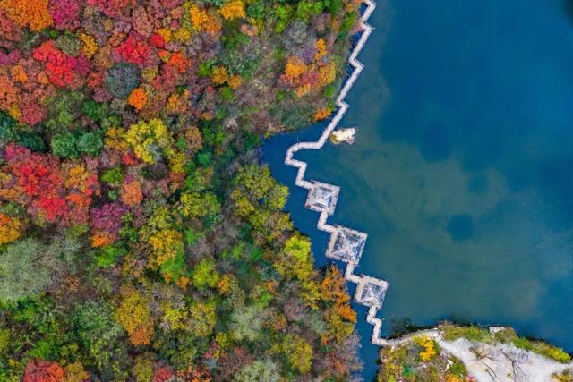 周末出发！济南这条自驾线路串起古建、名泉、红叶，美极了！