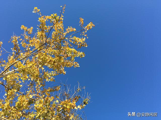 深秋之游——五大连池，因为它的博大，才有苍凉之美的深远