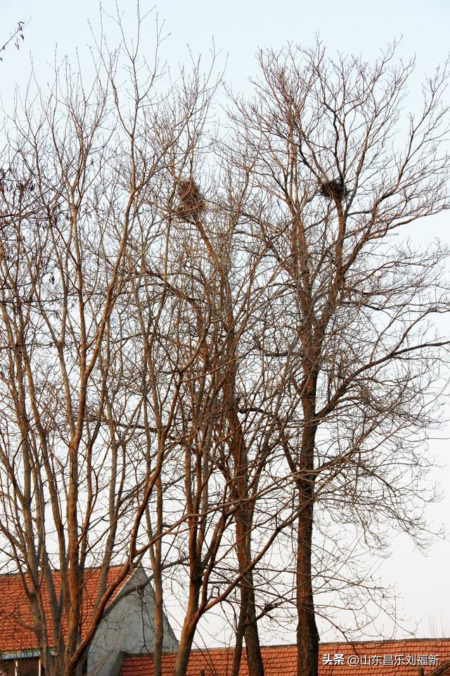 这一次外出闲游感慨颇多