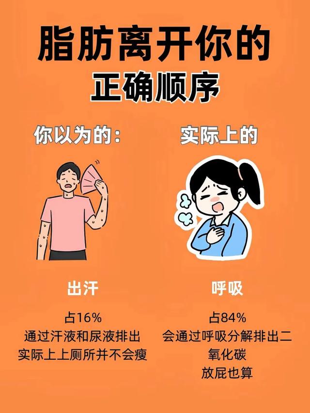 中年人减肥困局：中年代谢差，请你每天逼自己这样做！快速瘦身