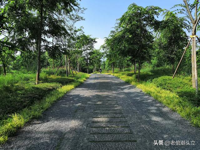 冬天的早上 晒着太阳从大观楼徒步到西山茶马花街 是什么样的感受？