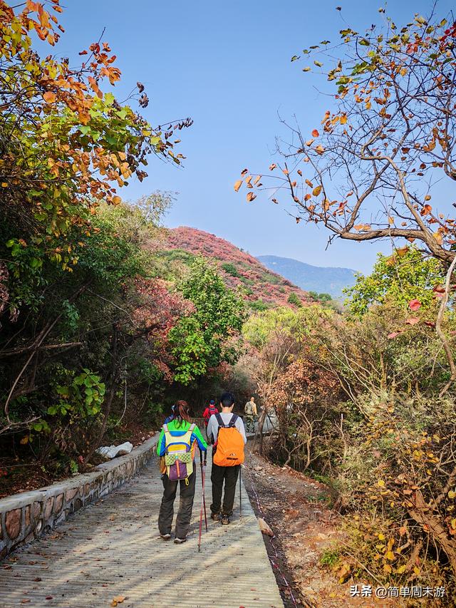 16）嵩山秋行记：27人踏秋赏红叶，从西山脊到古刹禅心