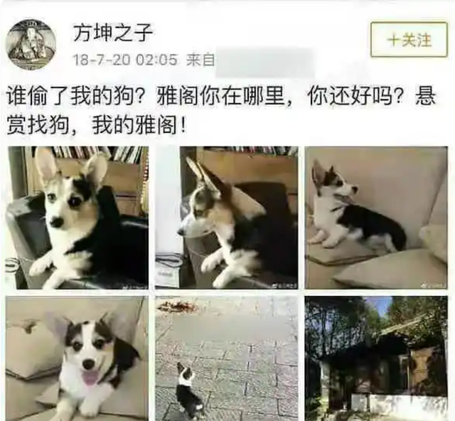 70岁晚节不保！袁立不再隐瞒，张国立丑闻曝光，该慌的何止章子怡
