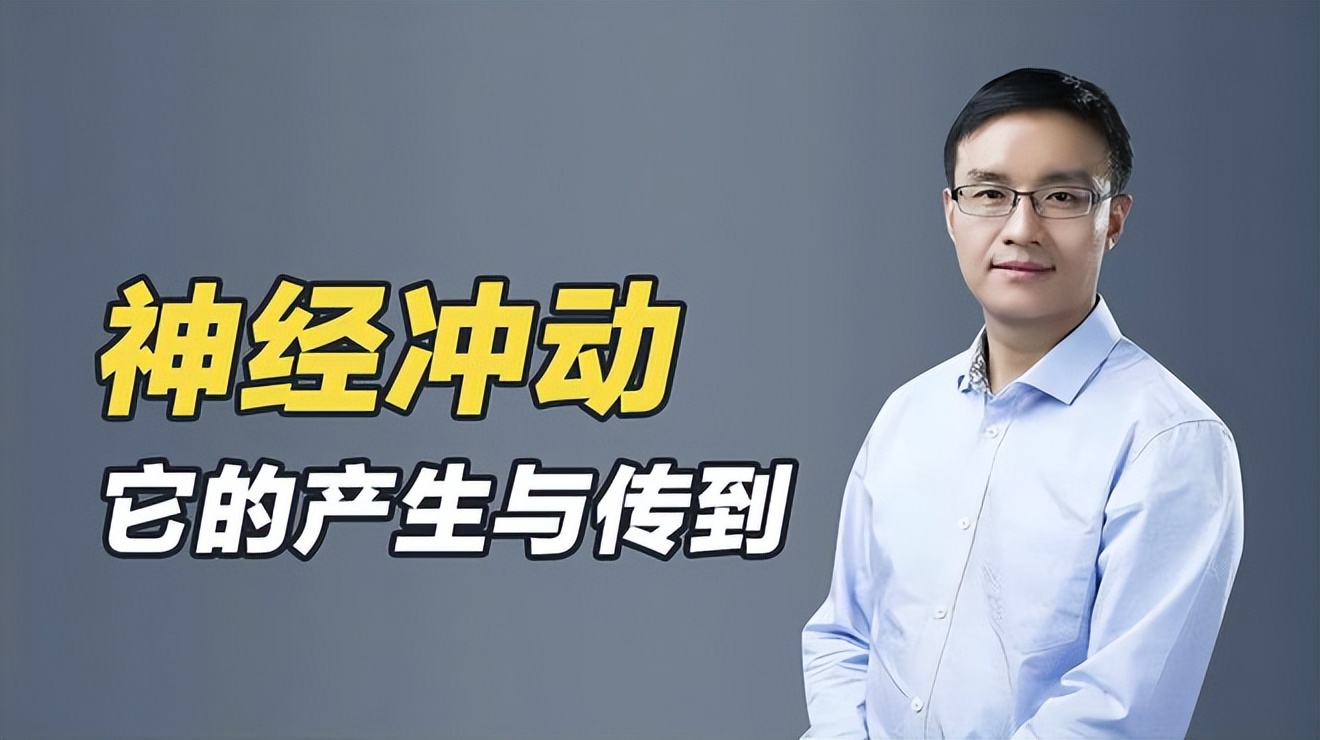 网络上,关于“神经元细胞”和人喜怒哀乐的关系插图9 网络上,关于“神经元细胞”和人喜怒哀乐的关系