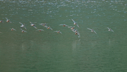 快来抱抱~ | Welcome to 疯狂·武夷山·动物城