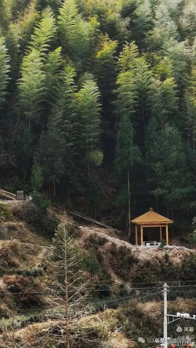 不用去西藏，仙居这里藏了个“布达拉宫”，夏日避暑静心好去处！