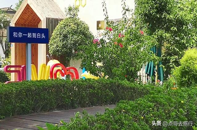 成都周边稻海秘境，超级惊艳，被严重低估，地铁公交车可直达！