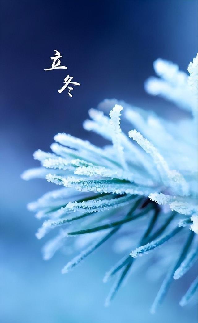 “上午立冬大雪封门，下午立冬单衣过冬”，今年立冬上午还是下午