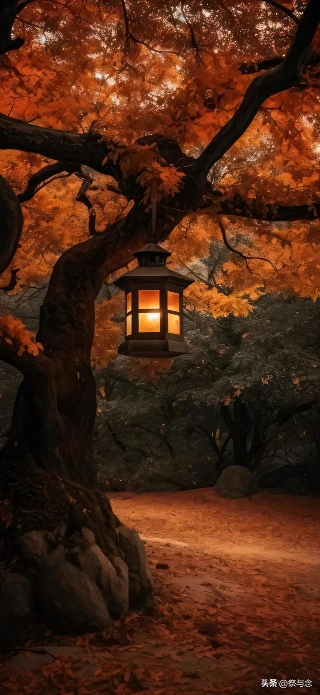 爱，是那碗深夜的醒酒汤