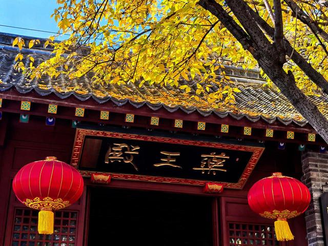 泰山王母池蜡梅初绽 花叶同枝尽显冬日诗意