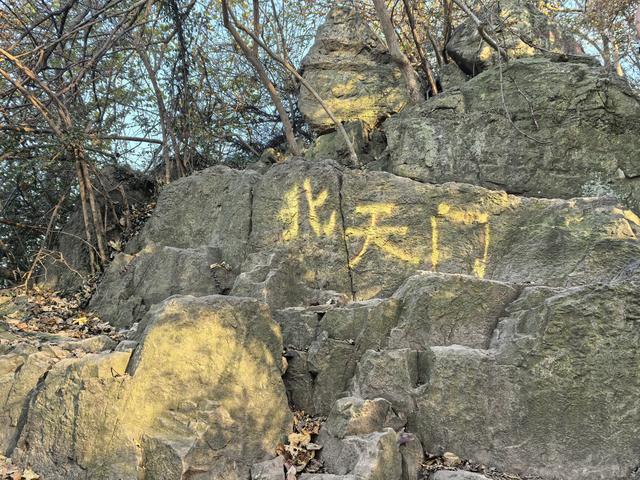 南京紫金山郊野徒步
