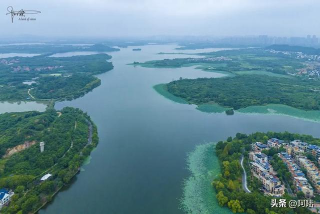 武汉的知音湖和后官湖究竟谁是大谁是小?把我这外地佬搞晕了