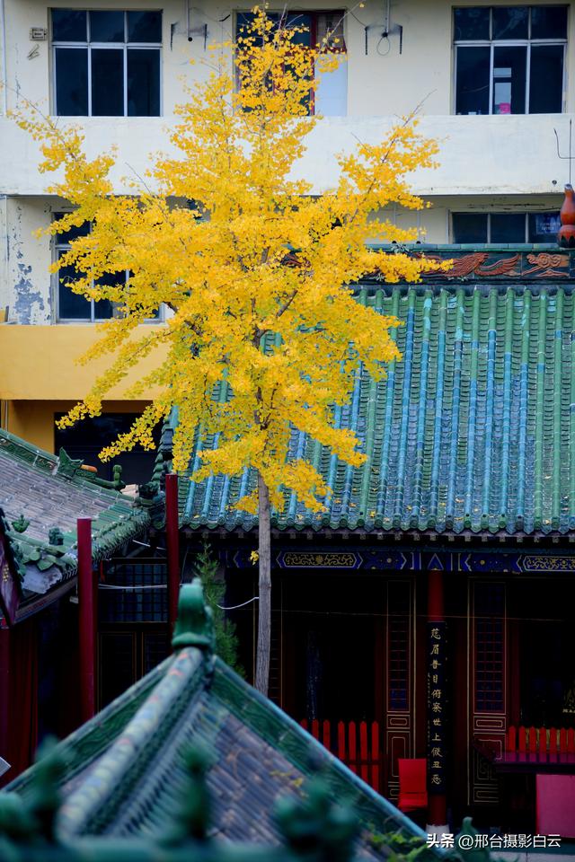 邢台火神庙：邂逅一场千年之约的绝美秋色（图/原创）