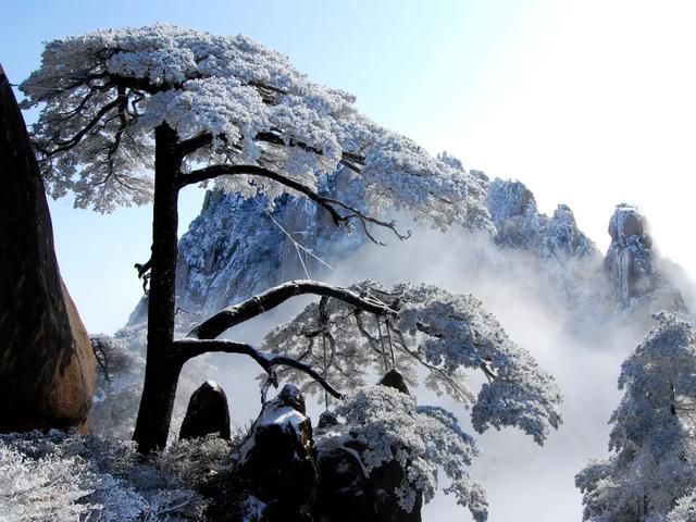 黄山初冬，打翻调色盘的绝美限定 | 皖美冬日