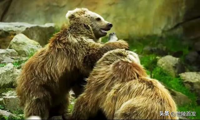 好客山东好品山东｜临沂遛娃去哪儿？初冬攻略收藏就出发～